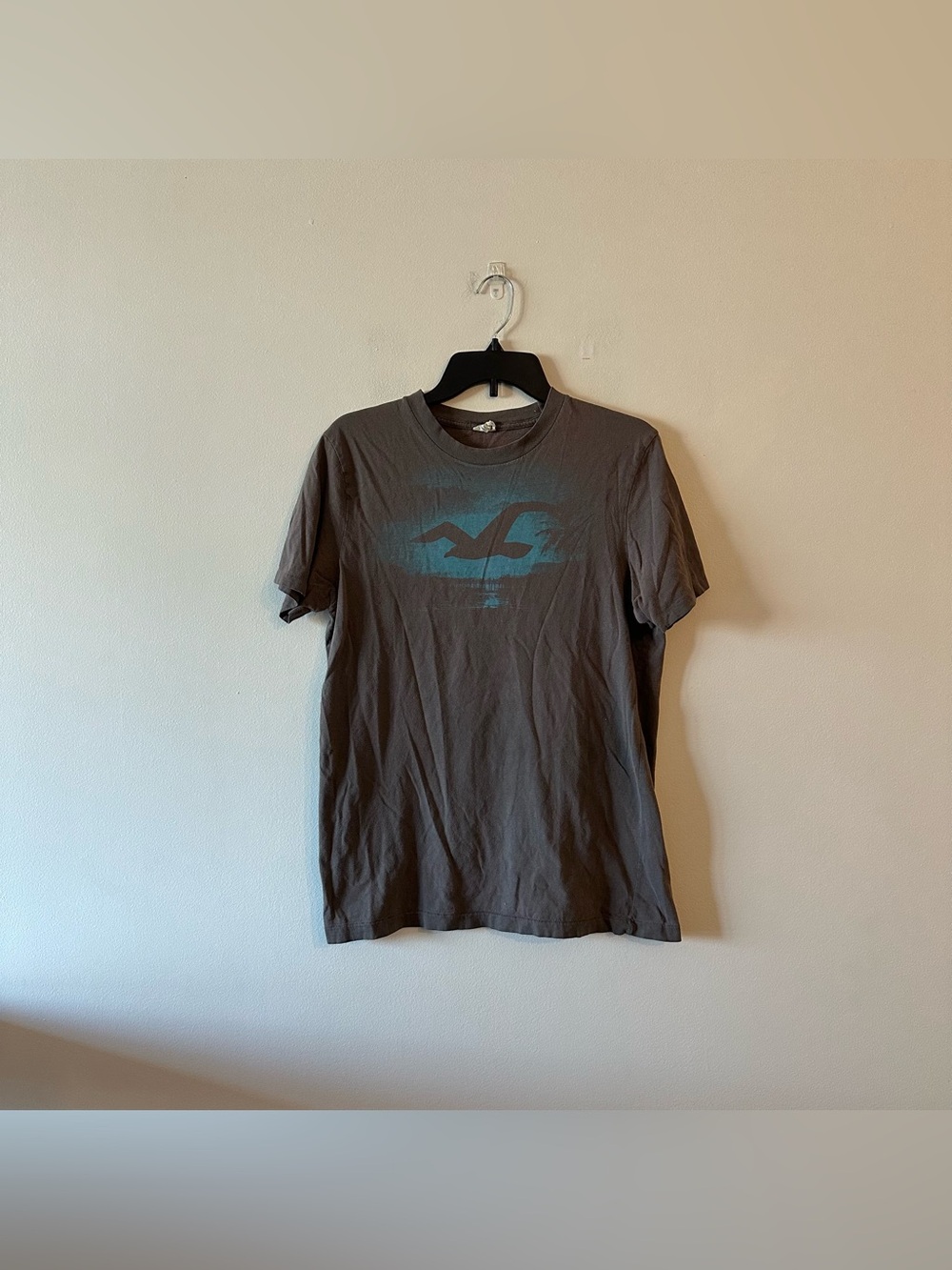 Vintage Y2K Hollister Seagull Logo Brown Short Sleeve Tee T-Shirt Graphic L